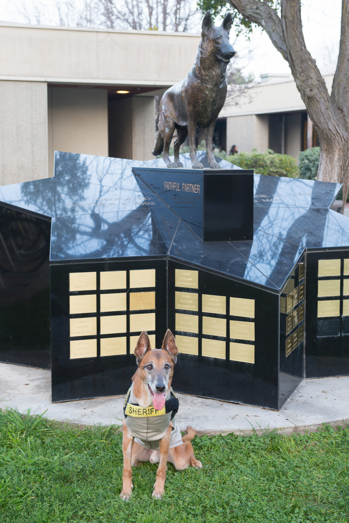 Kopper at the Faithful Partner statue on the UC Davis campus