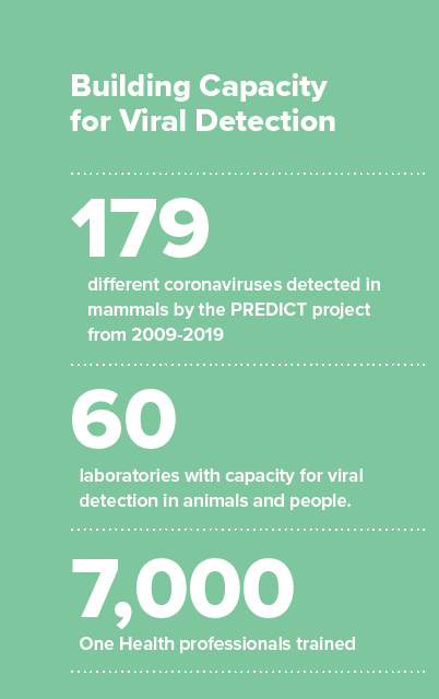 Building Capacity for Viral Detection