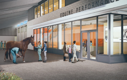 Equine Performance Center