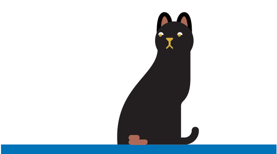 Feline House Soiling
