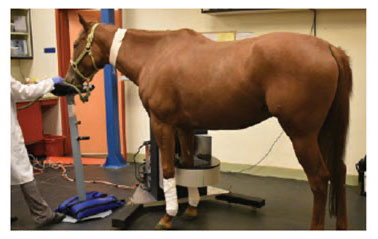 PET Scanning