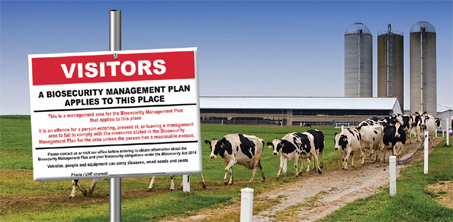 New Grant to Prevent Livestock Pandemics