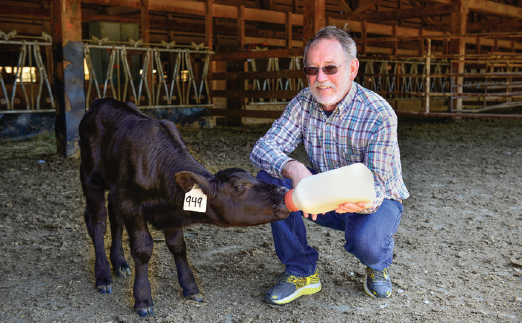 Vaccine Now Available for Deadly Cattle Disease