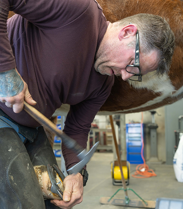 Farrier Lance Yohe shoeing a horse.