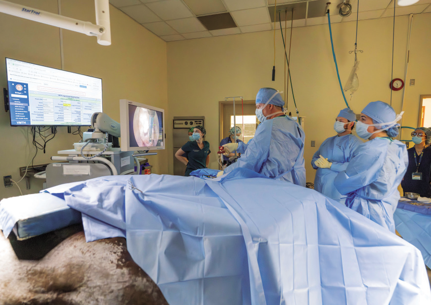 Surgeons performing a Foraminotomy procedure.