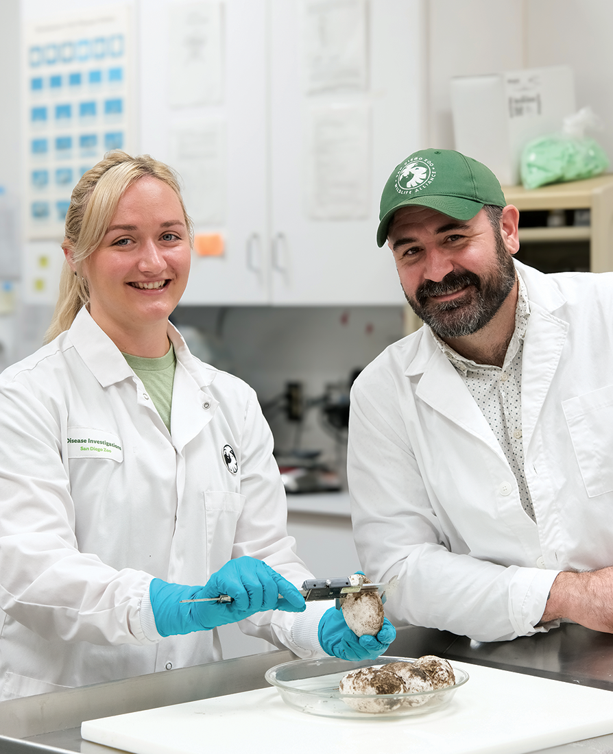 Dr. Alene Pohly with Dr. Steven Kubiski working in the lab.