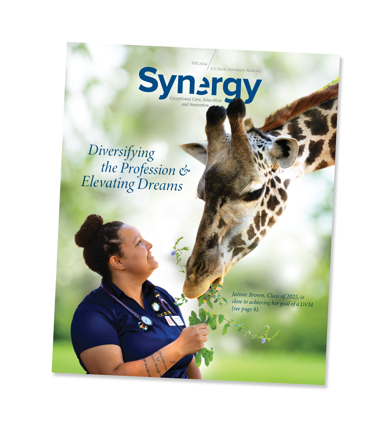 Synergy Fall 2024 Cover, showing a vet feeding a leaves to a giraffe.