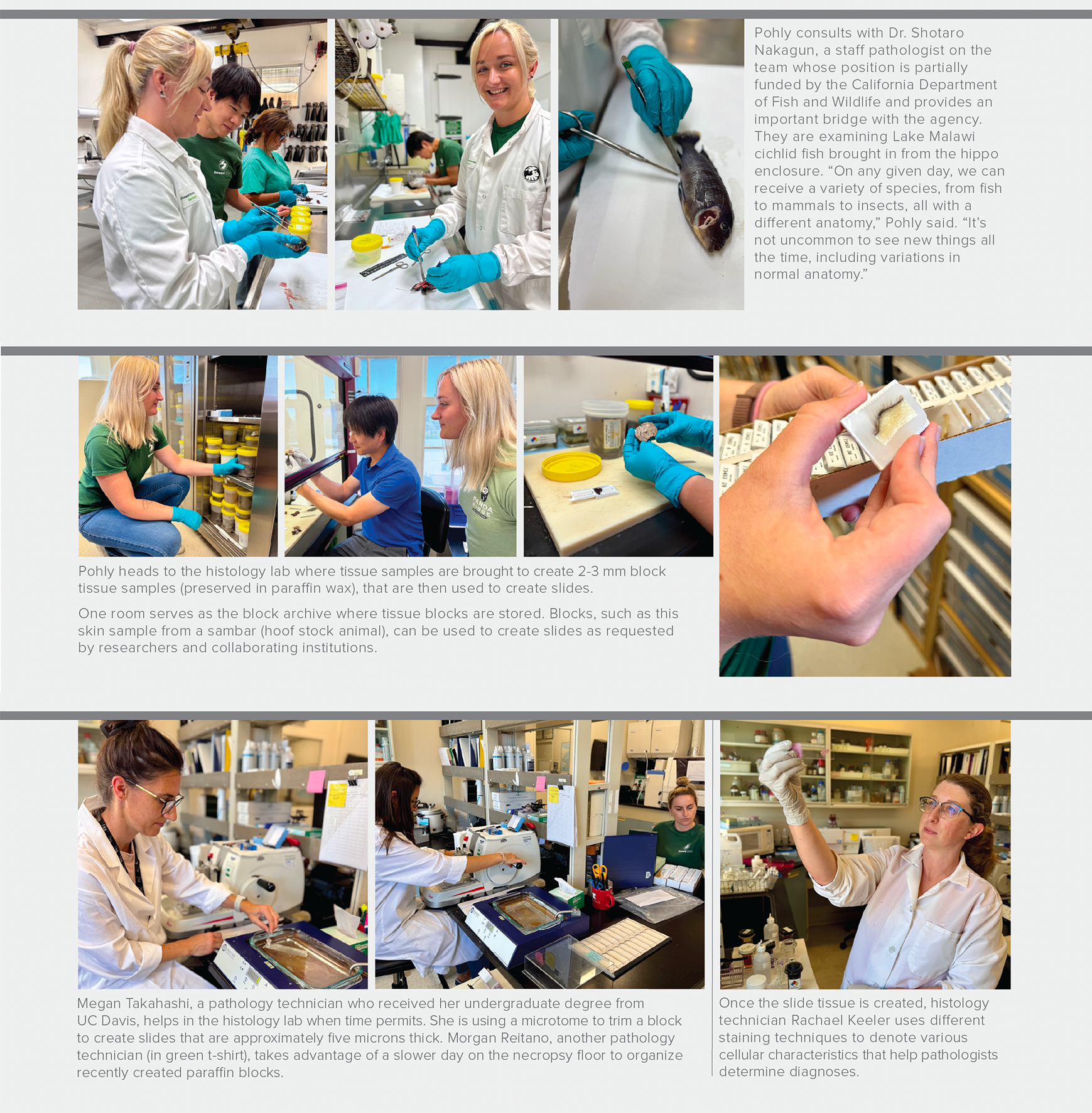 Pohly consults with a staff pathologist; heads the histology lab; reviews samples.