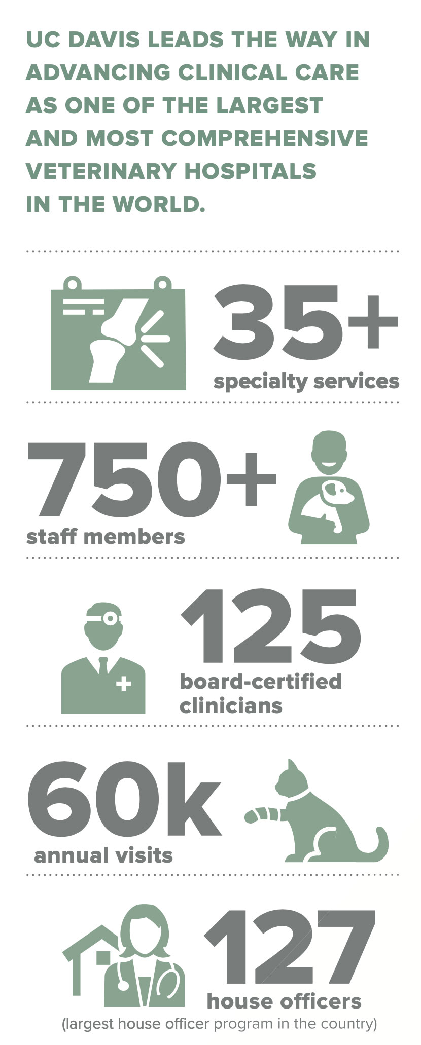 UC DAVIS LEADS THE WAY IN ADVANCING CLINICAL CARE AS ONE OF THE LARGEST AND MOST COMPREHENSIVE VETERINARY HOSPITALS IN THE WORLD.