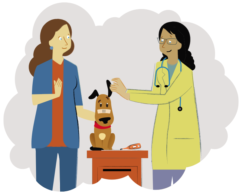An illustration of a dog owner with dog and a vet.