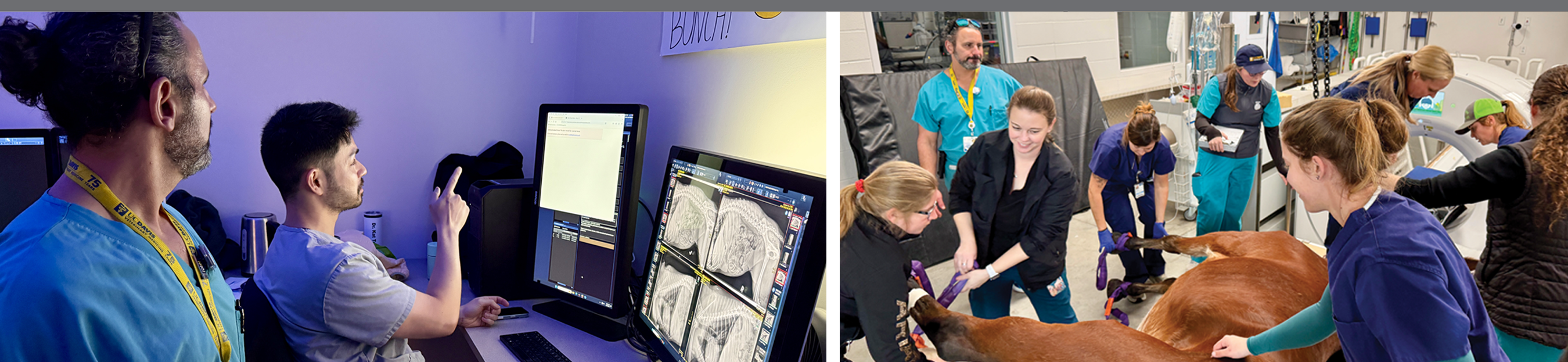 Photos: clinicians using telehealth monitors; adults and children doing hands-on STEM activity