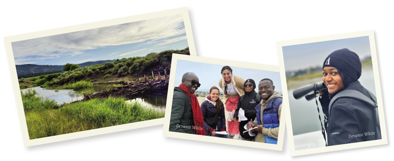 Three photos showing students at a wetlands viewing area.