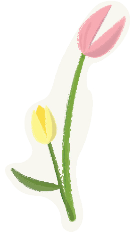 Illustration of tulips.