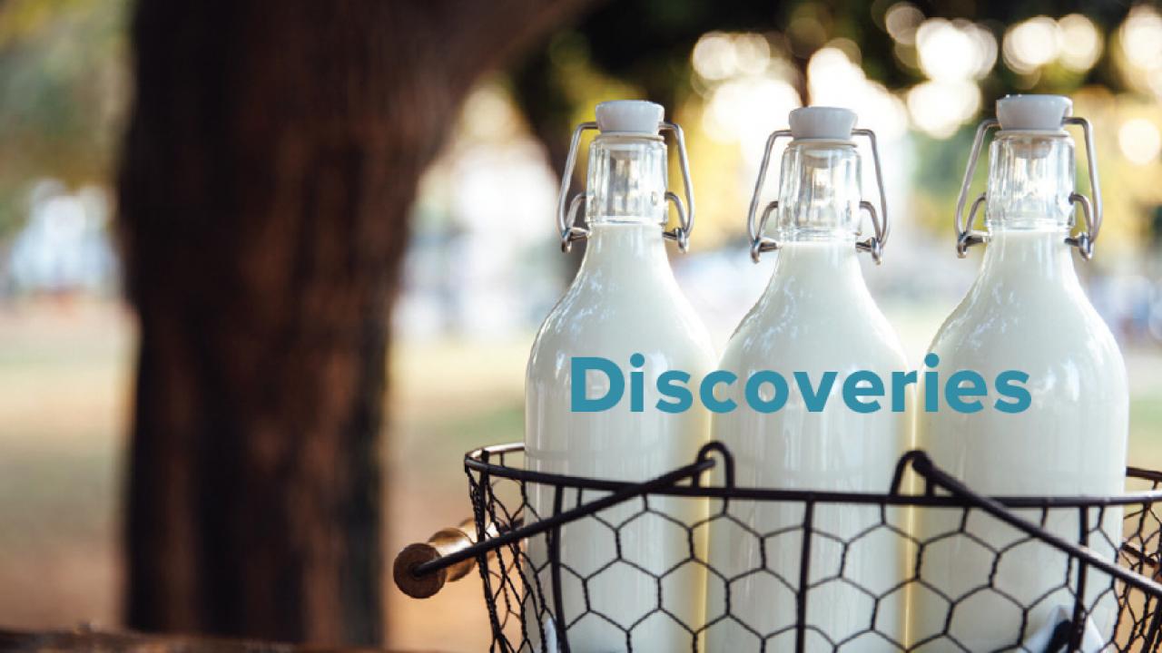 Discoveries - Fall 2020