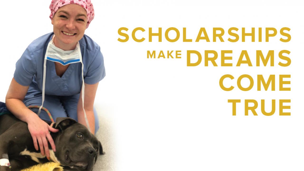 Scholarships make Dreams Come True