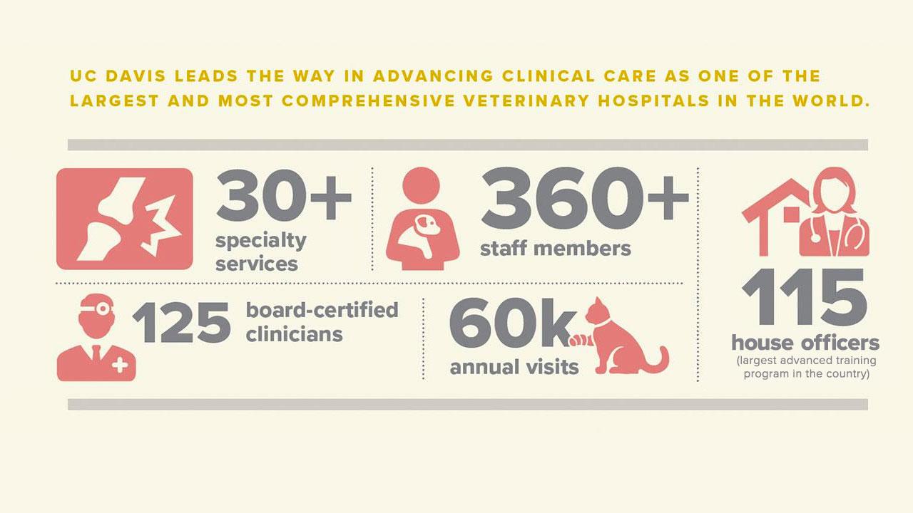 Clinical Advances