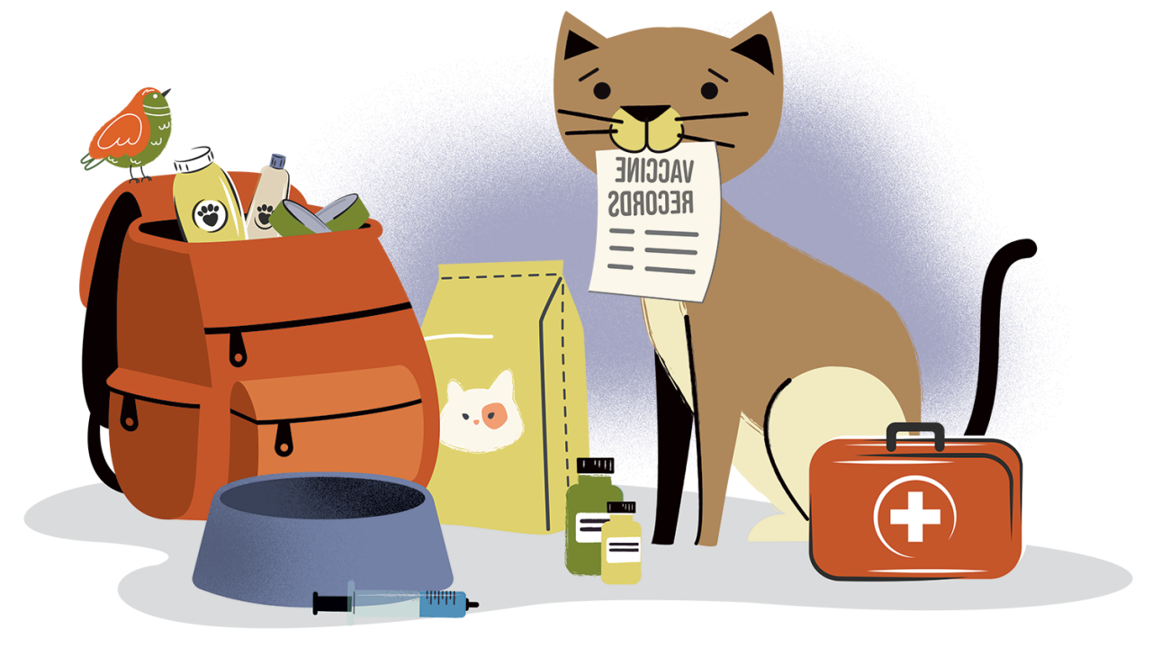 An illustration of a cat and a bird with an emergency go bag kit.