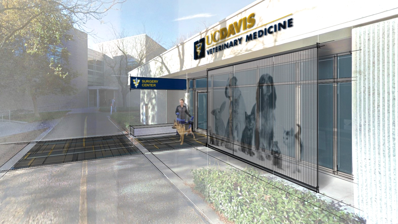 Architectural rendering of the entranced to the Center for Advanced Veterinary Surgery
