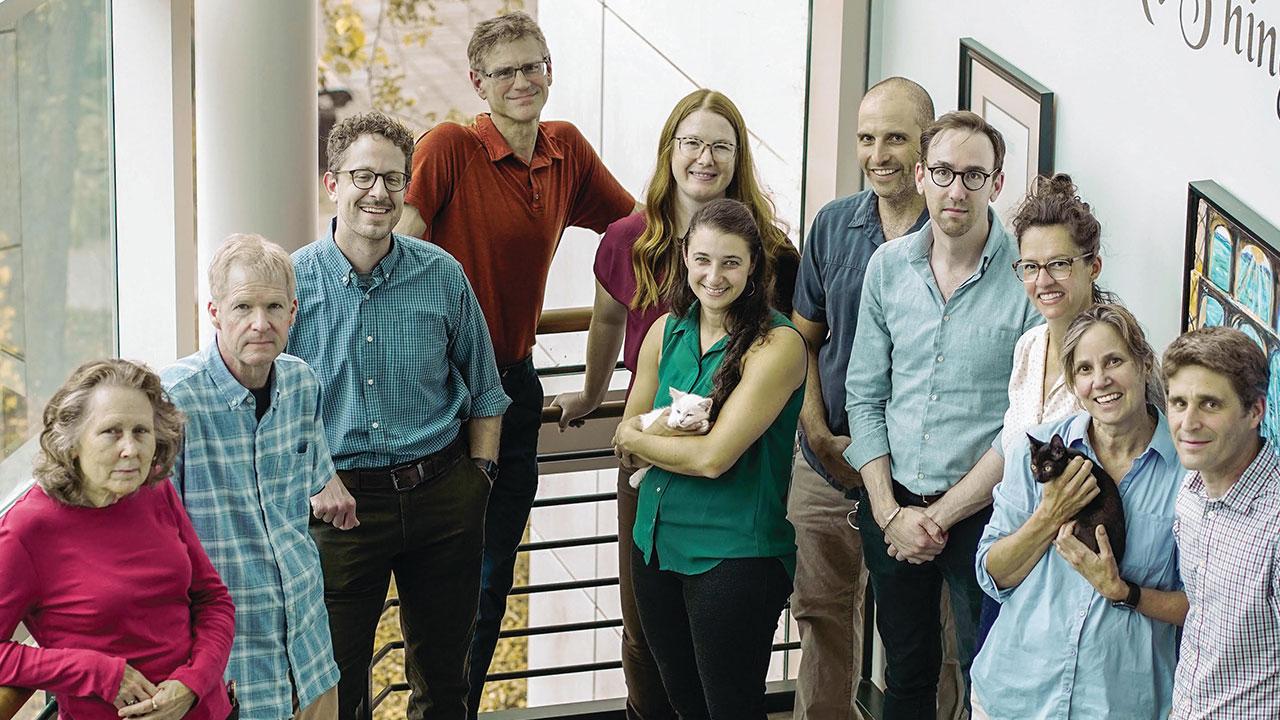 Researchers (from left) Liz Sparger, Ken Jackson, Randy Carney, Brian Murphy, Krystle Reagan, Terza Brostoff (holding kitten), Amir Kol, Simon Anthony, Lark Coffey, Patricia Pesavento and Stefan Keller are collaborating to prevent and cure feline infectious peritonitis, a deadly disease for young cats. Photo: Vu Dao