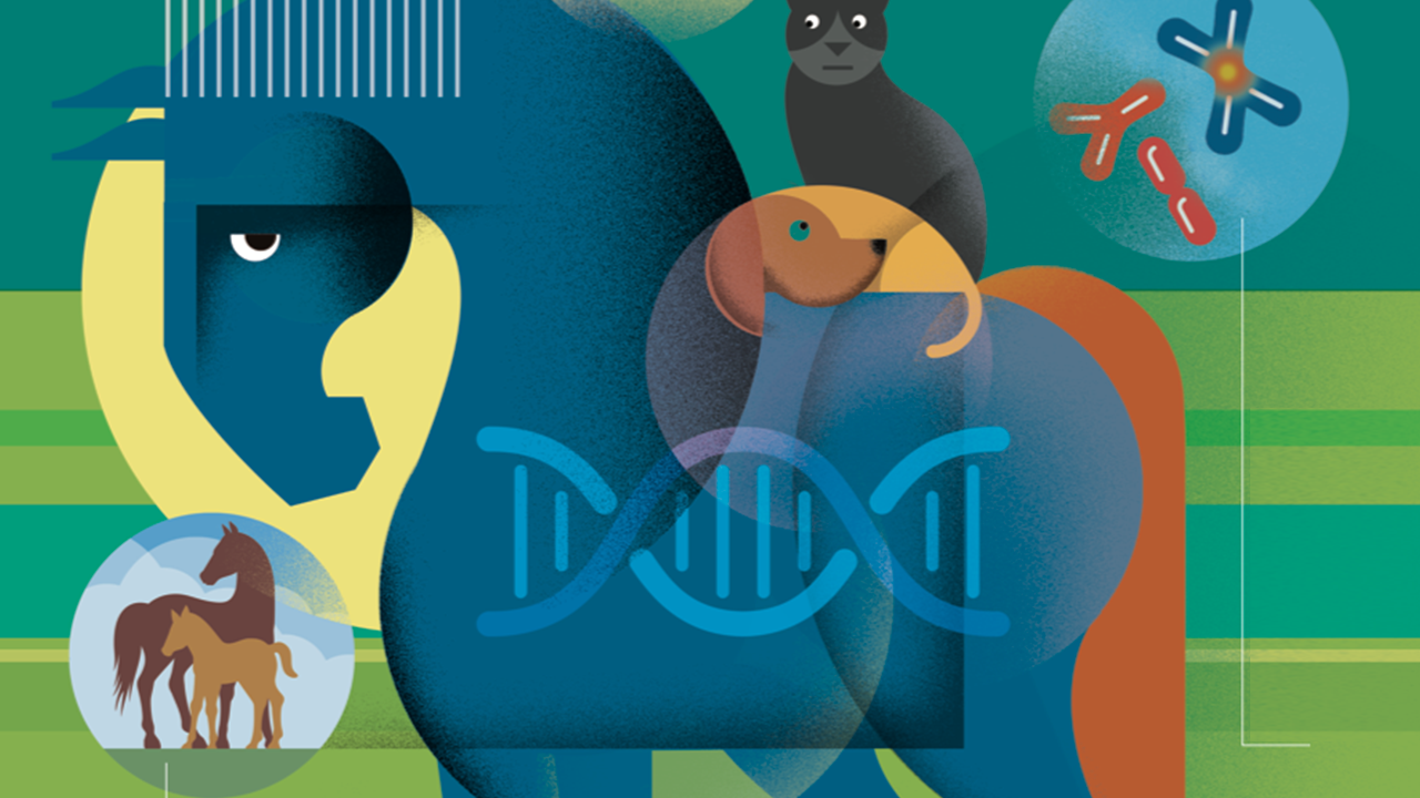What Genetic Testing Can and Can't tell You about Your Pet