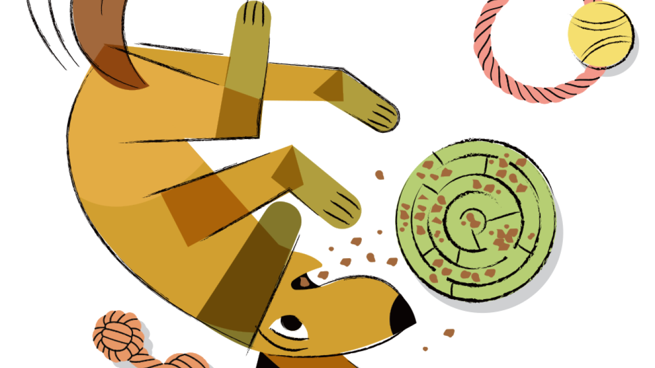 An illustration of a dog playing with toys.