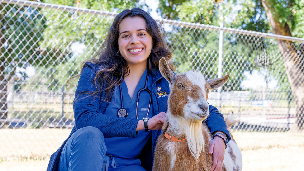 Vet with goat.