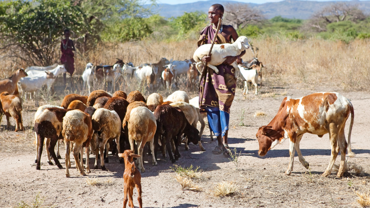 Tanzanian pastoralists in the Rift Valley
