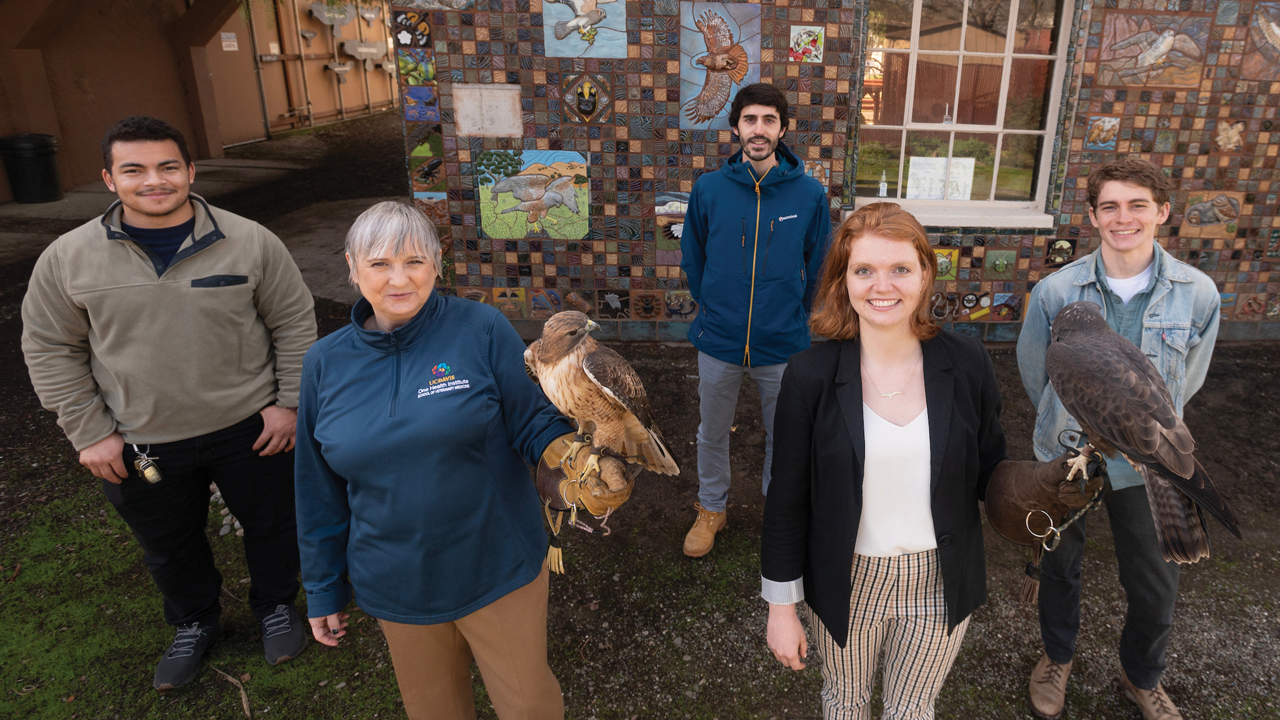A group of vets from the Raptor Center
