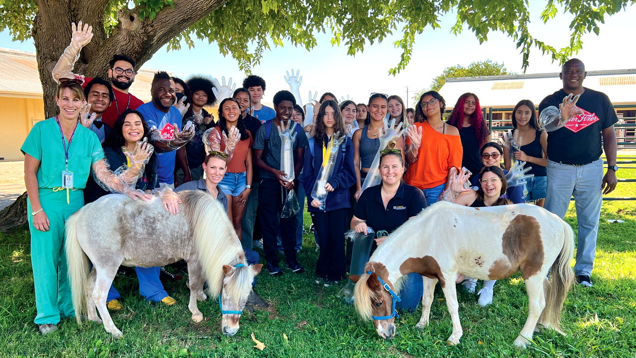 A group of vets and students standing outside under a tree with two miniature ponies.
