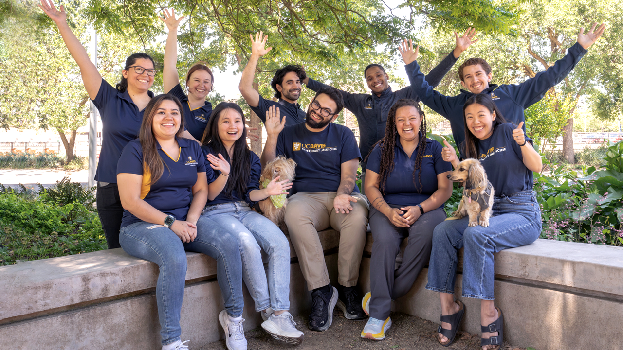 A group of students smiling, sitting outside, under a tree