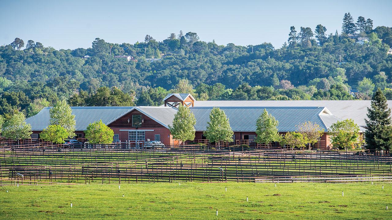 Templeton Farms