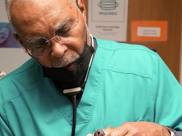 Dr. Jones examines dog's teeth