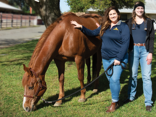 Two vet students standing next to a horse.