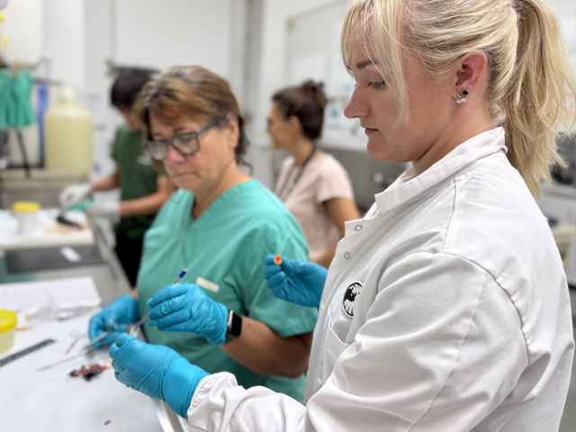 Dr. Alene Pohly in the lab.