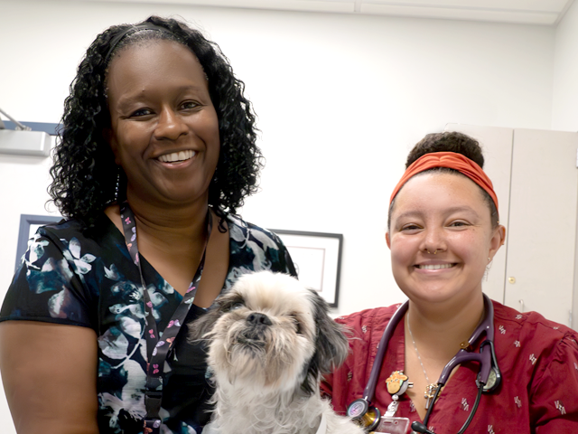 Dr. Gina Davis and student Jaimie Brown examine a dog.