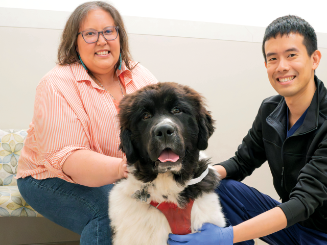 An owner and a vet sit with Olaf the dog.