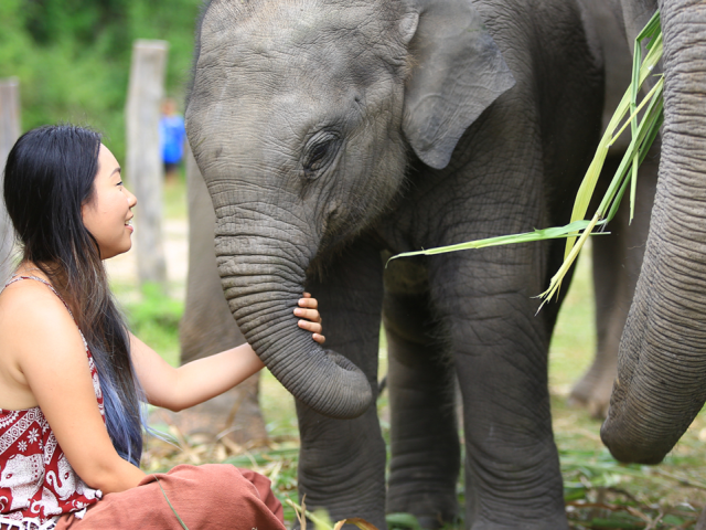 A woman sitting with an elephant.