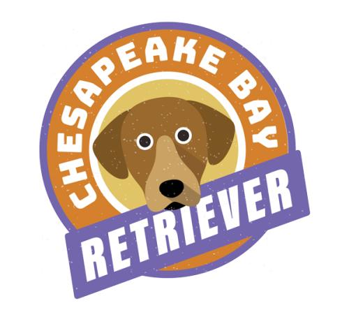 Chesapeake Sticker