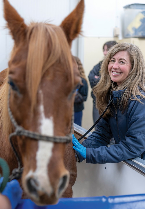 Dr. Emily Berryhill with a horse