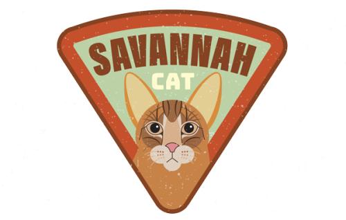 Savanah Cat