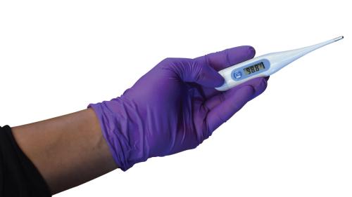 Lessons from EHV-1 Outbreaks