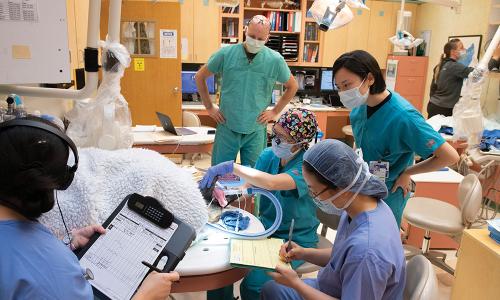 Dr. Boaz Arzi (center background) oversees a dental procedure. Photo: Don Preisler