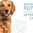 Building the Future of Veterinary Care