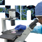 Dr. Rumbeiha looks through a microscope