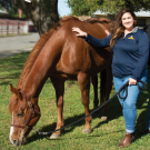 Two vets stand next to a horse.