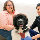 An owner and a vet sit with Olaf the dog.
