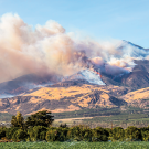 wildfire